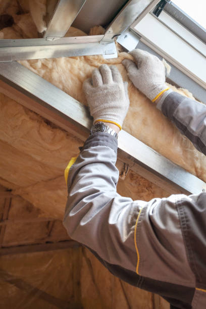 Best Types of Insulation in White Mountain Lake, AZ